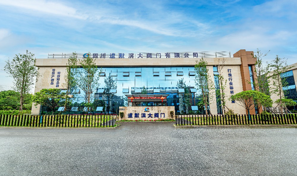 技改先鋒，激流勇進(jìn) ——四川道默濱大閥門(mén)有限公司積極參與行業(yè)科技創(chuàng)新成果交流